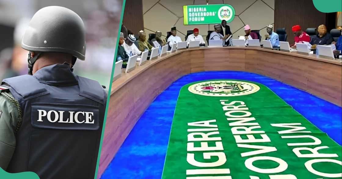 Govs back state policing, details emerge Govs back state policing, details emerge