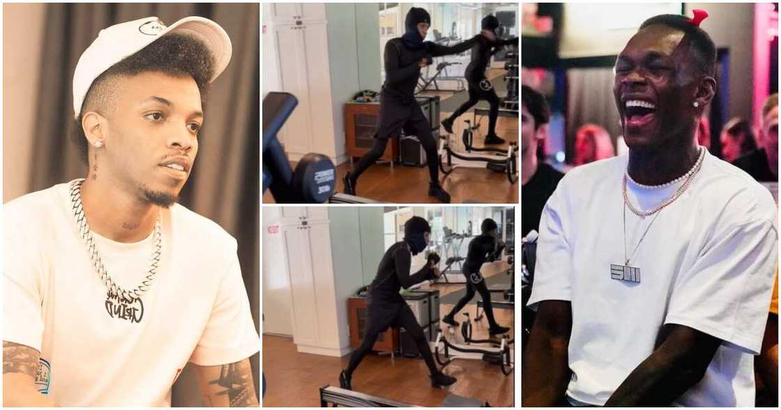 Tekno, Israel Adesanya Tekno, Israel Adesanya