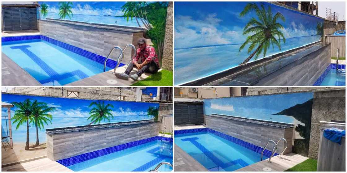 Nigerian Man Makes Amazing Beach Sunset Wall Painting With Palm Trees, Many Said It Looked so Real