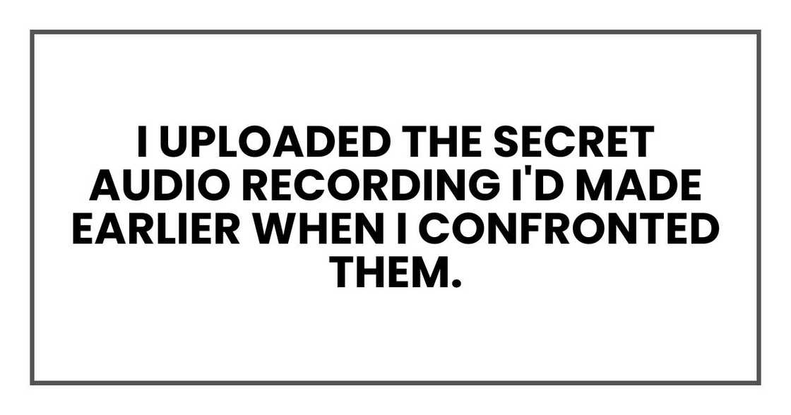 I uploaded the secret audio recording I'd made earlier when I confronted them.