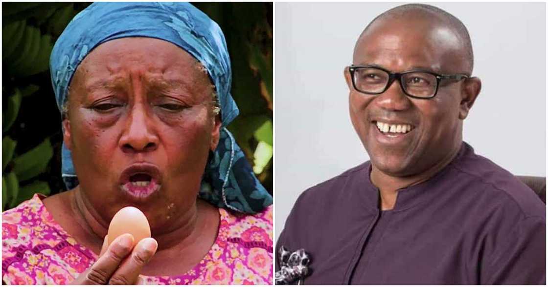 Patience Ozokwo, Peter Obi