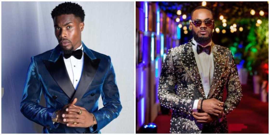 Photos of Neo and Prince. Photos of Neo and Prince.