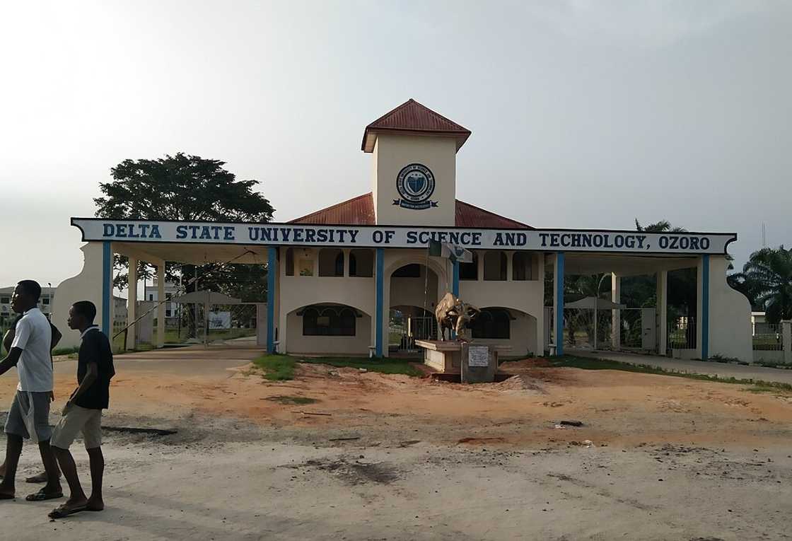 Two young men walking past Delta State Polytechnic, Ozoro