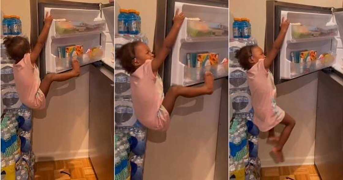 Little girl gets stuck after climbing fridge, steal snacks Little girl gets stuck after climbing fridge, steal snacks