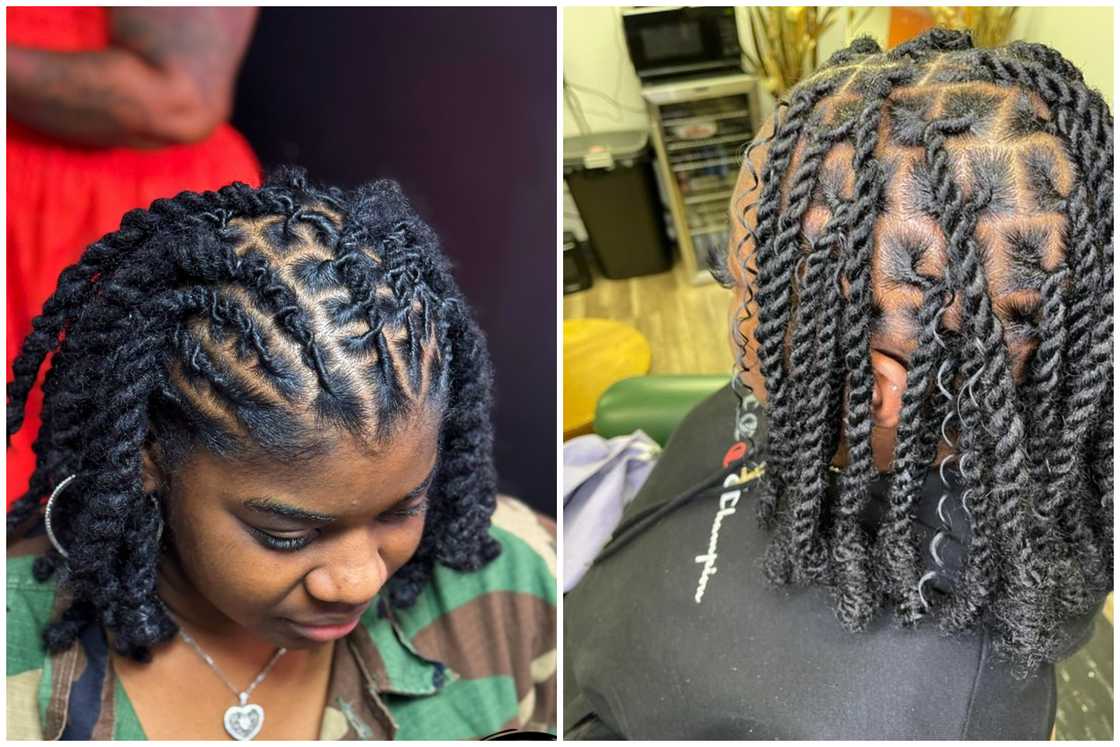 Twist braid dreadlocks