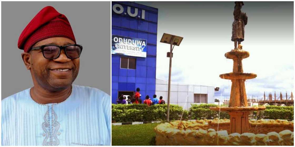 Joy as young Nigerian vice chancellor sees off competition from UK, Canada. others to win top US scholarship Joy as young Nigerian vice chancellor sees off competition from UK, Canada. others to win top US scholarship