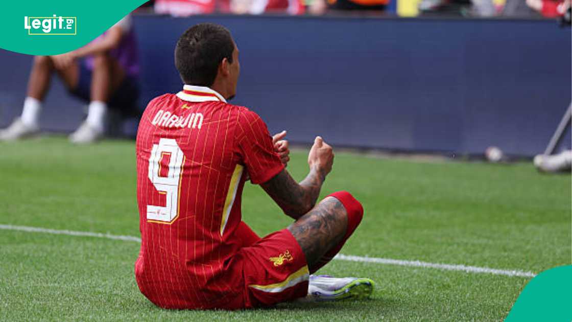 Liverpool, Darwin Nunez, Diogo Jota, England, Reds Liverpool, Darwin Nunez, Diogo Jota, England, Reds
