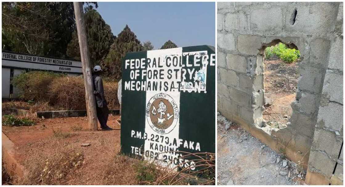 Federal college mechanisation Kaduna bandits attack Federal college mechanisation Kaduna bandits attack