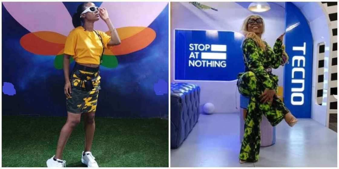 Photos of Bella and Chichi. Photos of Bella and Chichi.