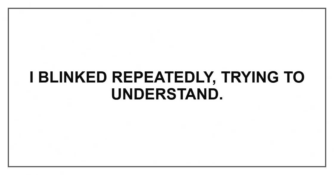 I blinked repeatedly, trying to understand.