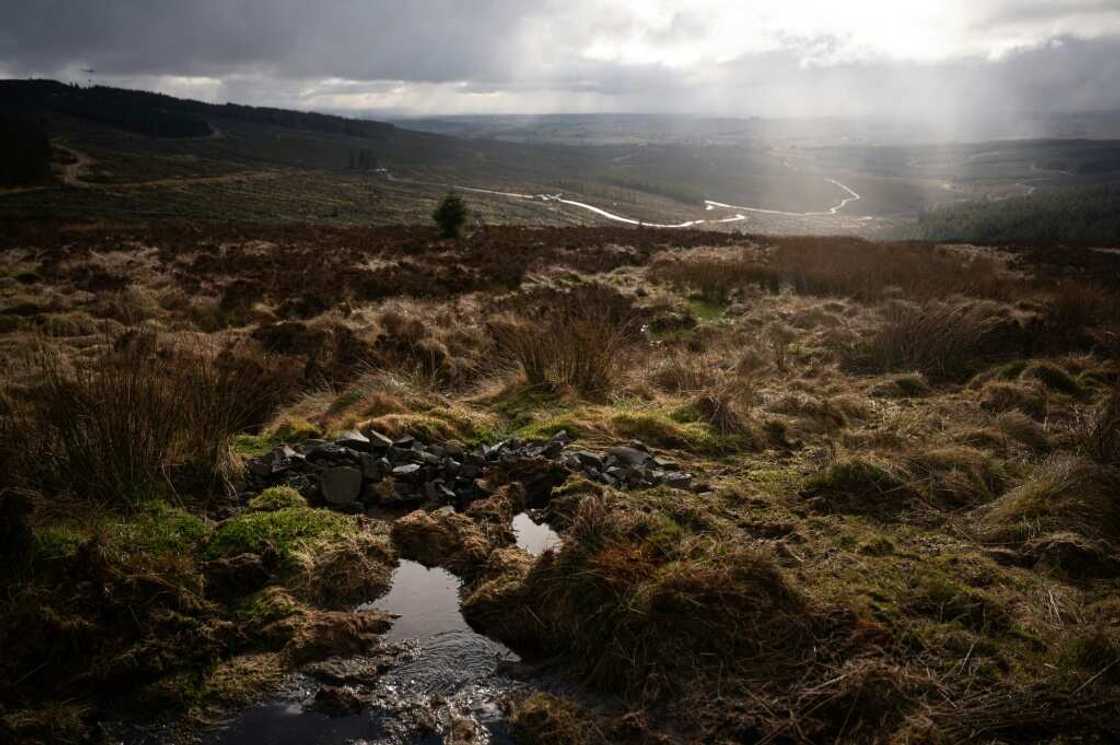 Under the Peatland Code, one credit is equivalent to one tonne of carbon emissions prevented