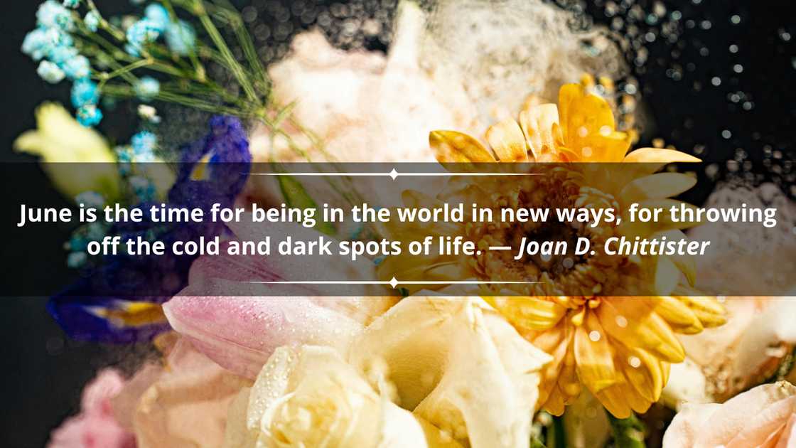 A bouquet of colourful flowers A bouquet of colourful flowers