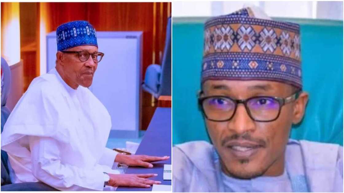 Buhari/Nephew/Muhammadu Buhari/Daura/Katsina state/2023 election Buhari/Nephew/Muhammadu Buhari/Daura/Katsina state/2023 election
