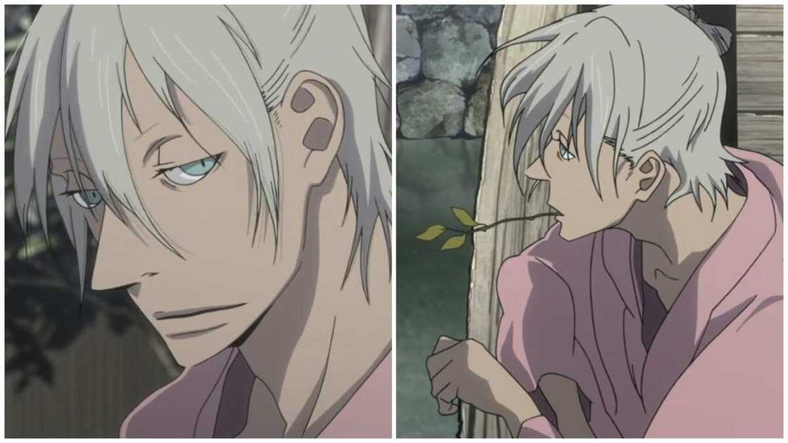 Best white-haired anime characters