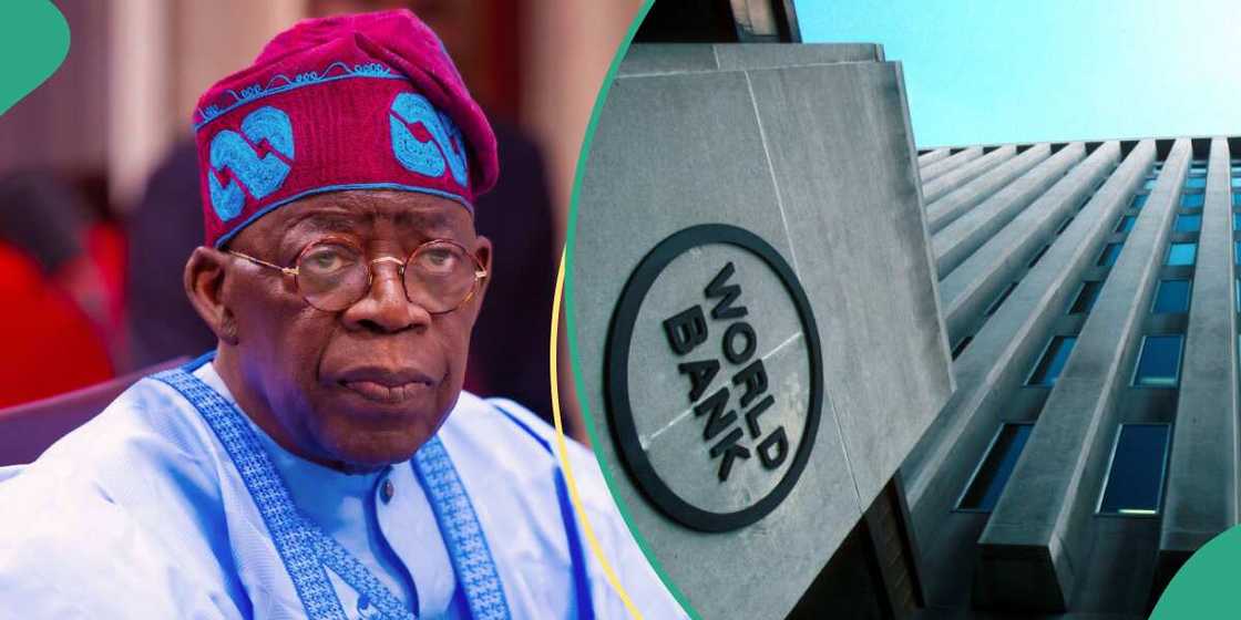 Tinubu ya kalubalanci Bankin Duniya kan cire tallafin mai a Najeriya Tinubu ya kalubalanci Bankin Duniya kan cire tallafin mai a Najeriya