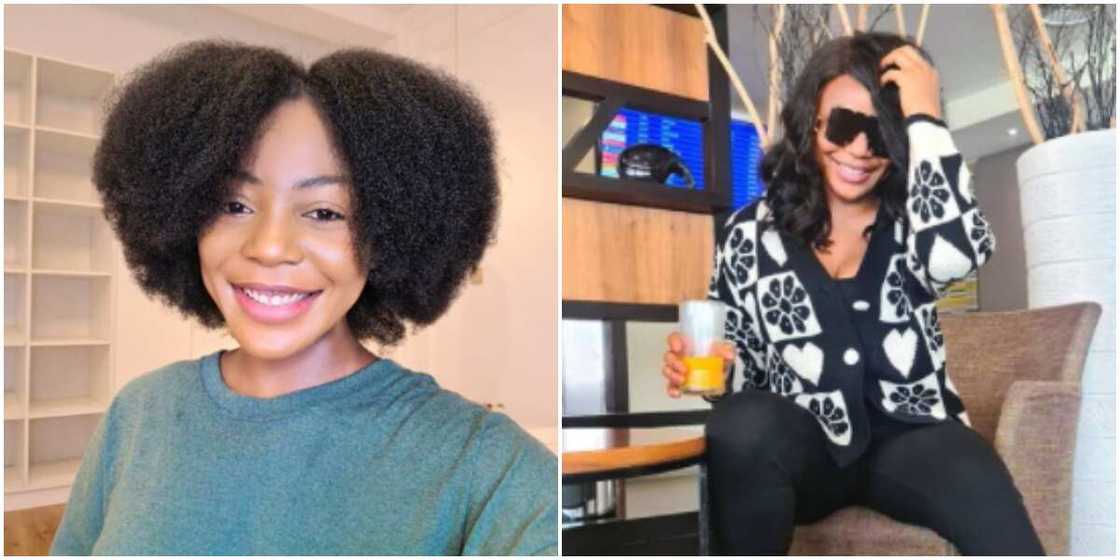 Ifu Ennada Ifu Ennada