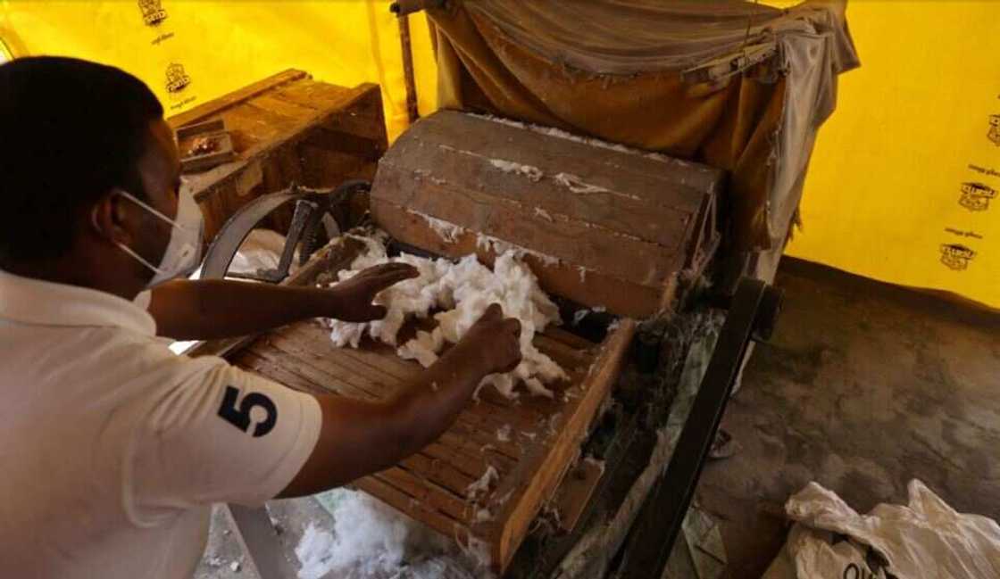 India Factory/Soft Toys/Cigarette Stubs India Factory/Soft Toys/Cigarette Stubs