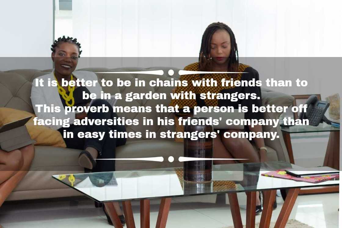 proverbs related to friendship