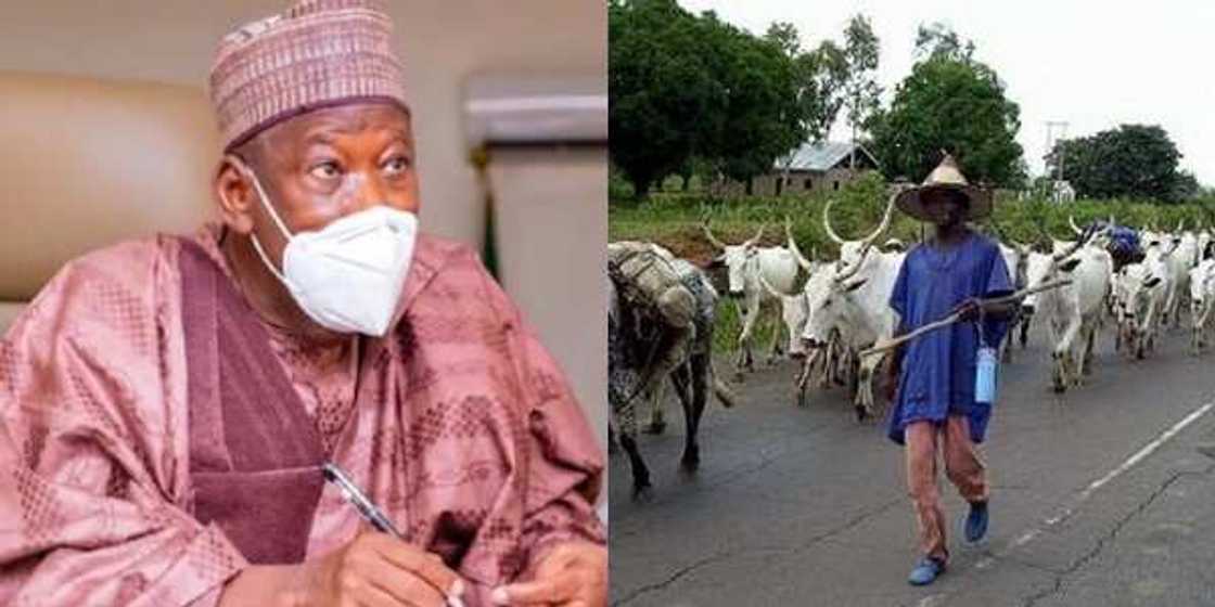 Northern governor gives lasting solution, says movement of cattle to south should be banned Northern governor gives lasting solution, says movement of cattle to south should be banned