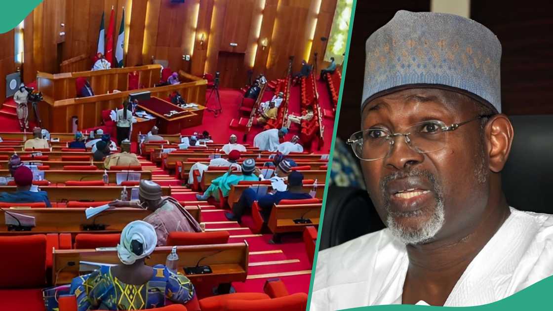 Budget: Ex-INEC boss Jega opens up on budget manipulation by federal lawmakers