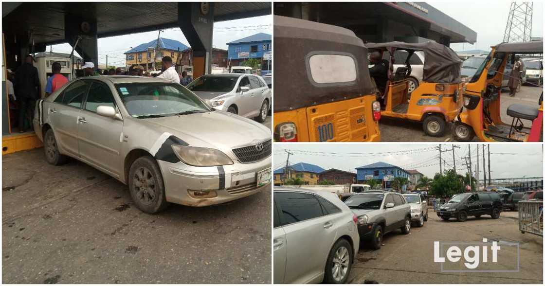 Fuel subsidy removal, Bola Tinubu Fuel subsidy removal, Bola Tinubu