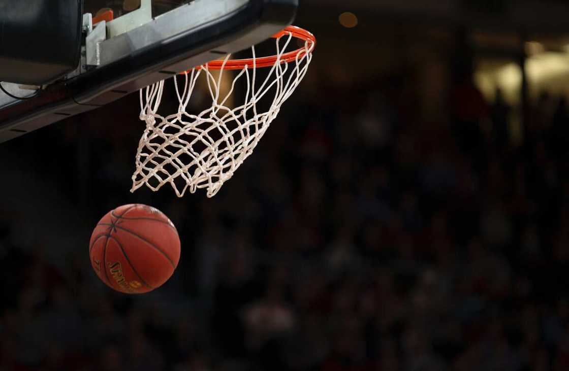 New basketball anime New basketball anime