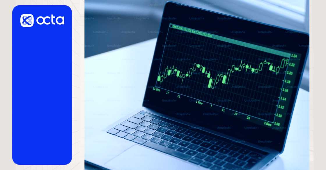 Plant your trading success: Leverage and margin explained by Octa Broker Plant your trading success: Leverage and margin explained by Octa Broker