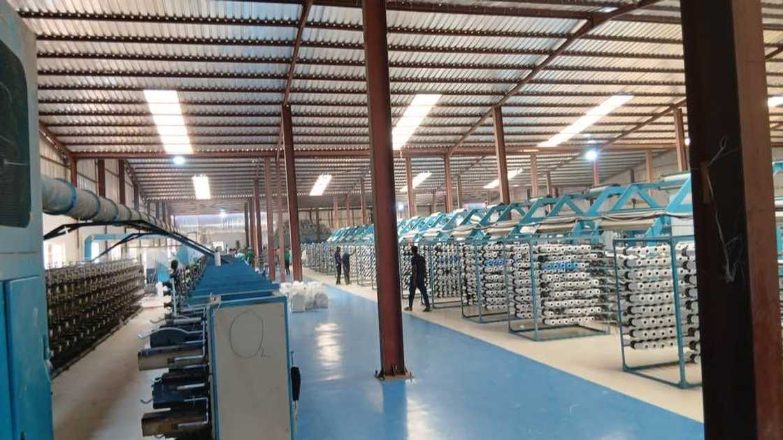 Kamfanin robobi a Borno