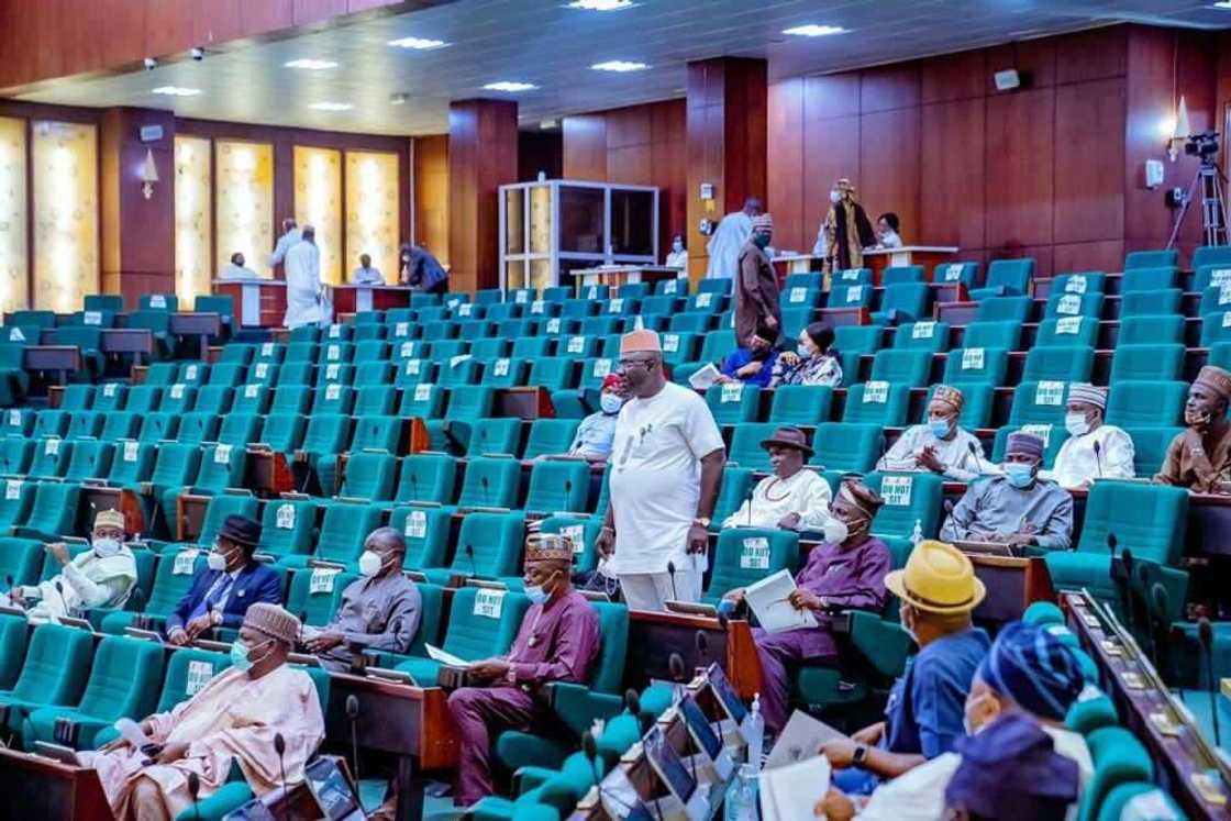 Lawmakers run for their lives as fight breaks out at PIB public hearing Lawmakers run for their lives as fight breaks out at PIB public hearing