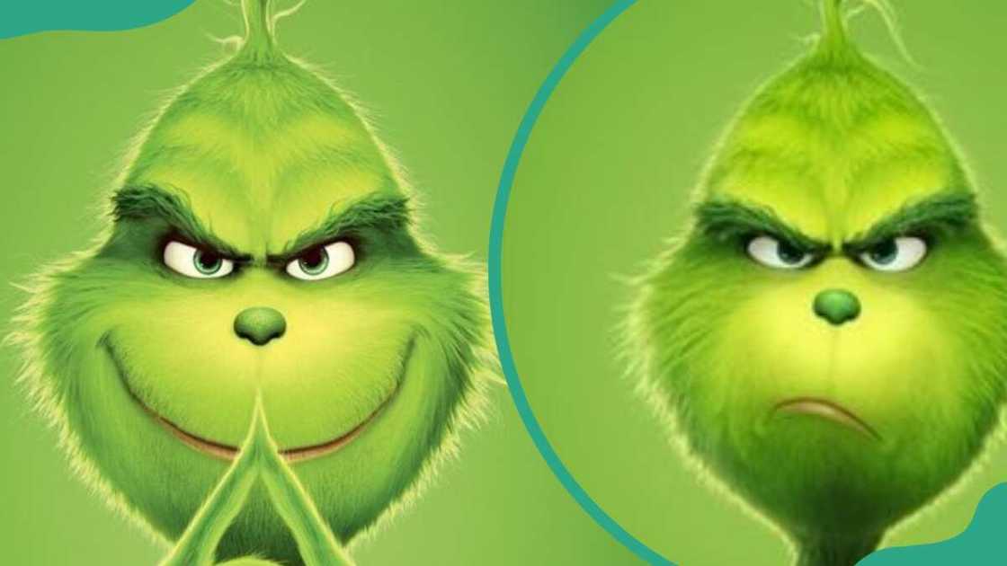 The Grinch from How the Grinch Stole Christmas The Grinch from How the Grinch Stole Christmas