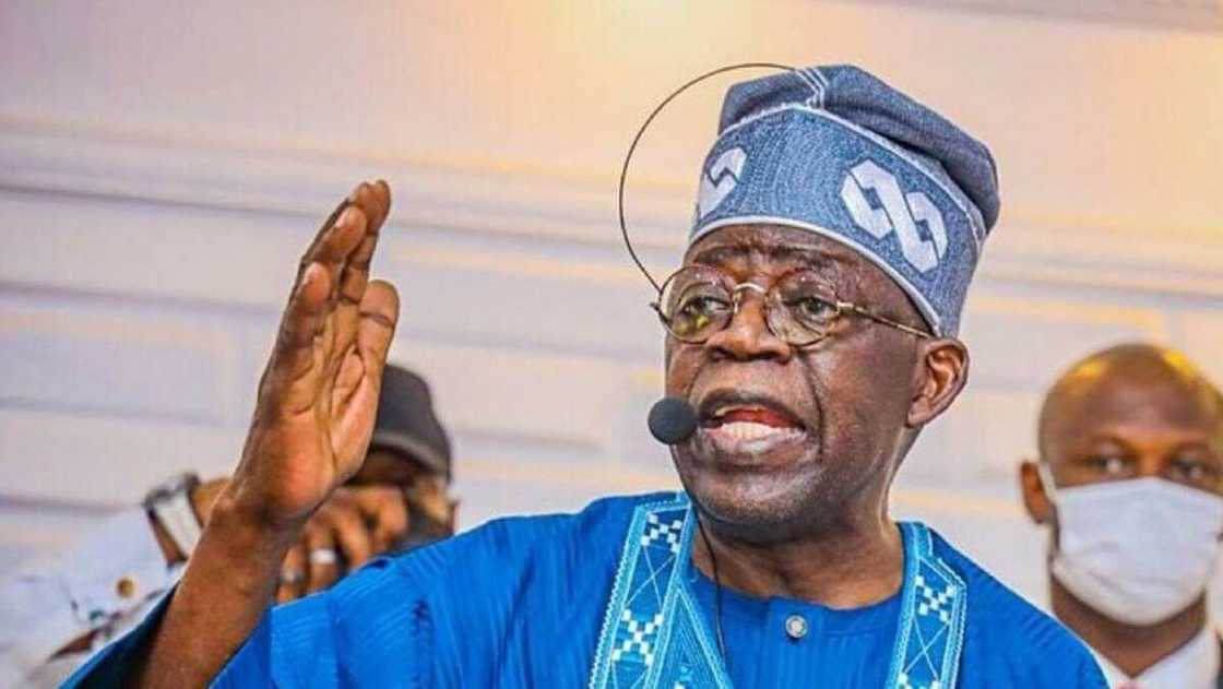 Bola Tinubu/Zaben Shugaban Kasa/Kotu