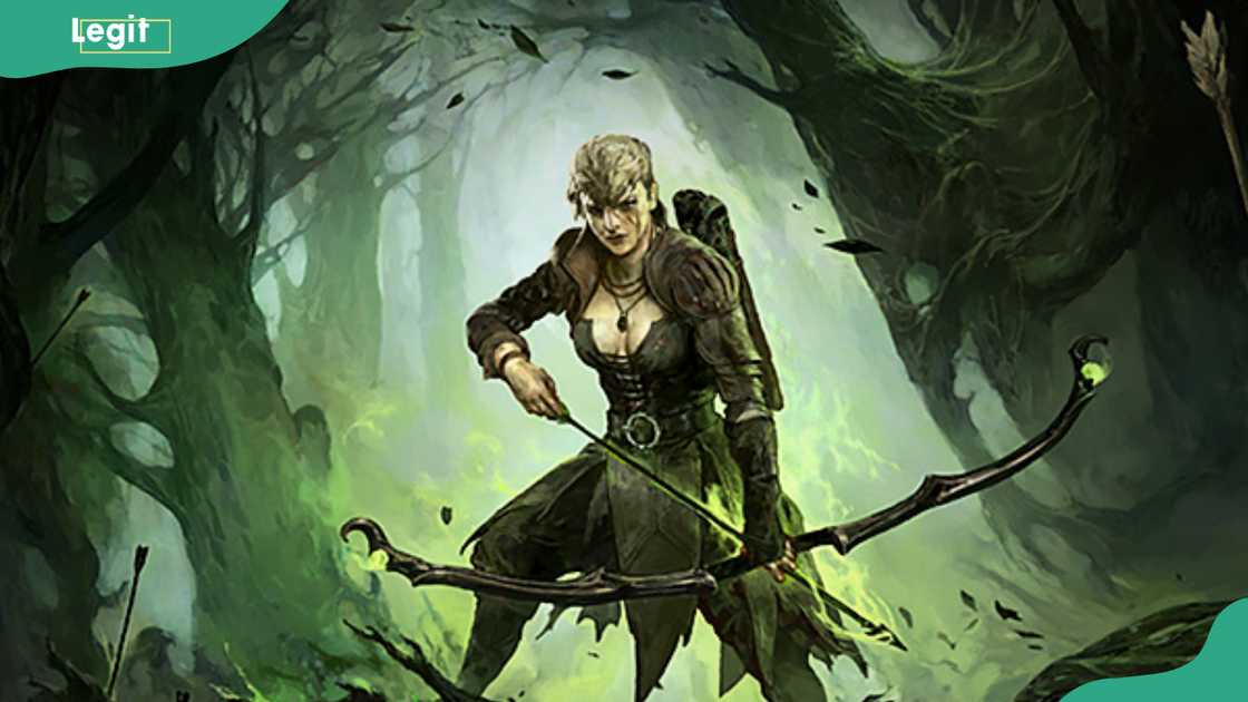The Ranger in Path of Exile 2 The Ranger in Path of Exile 2