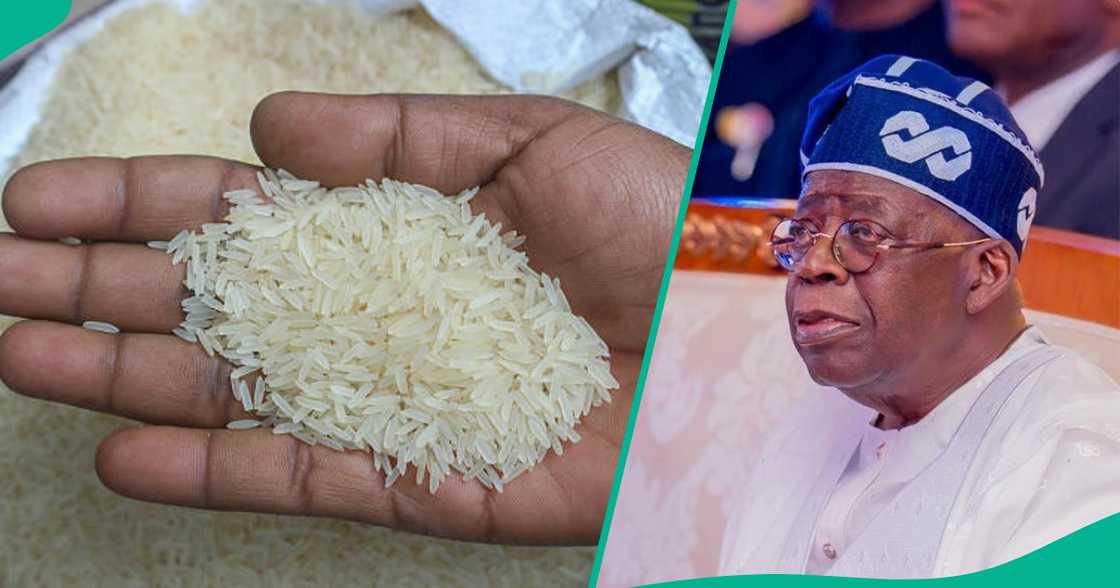 Shugaban Tinubu. Shugaban Tinubu.