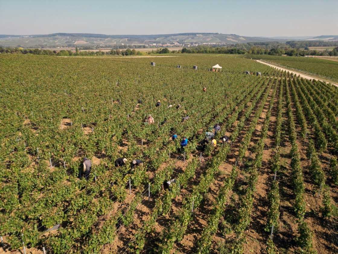 More than 50 migrant harvesters lived in accommodation that posed a danger to their 'security, health and dignity', according to investigators More than 50 migrant harvesters lived in accommodation that posed a danger to their 'security, health and dignity', according to investigators