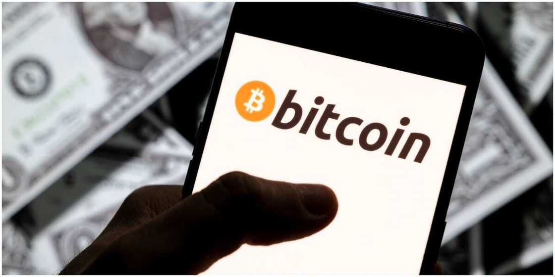 South African brothers who were accused of defrauding their investors have spoken out South African brothers who were accused of defrauding their investors have spoken out