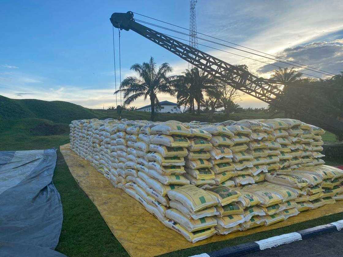 Hotunan yadda rundunar soji ta cafke masu safarar shinkafa daga shiyyar Kudu maso Kudu Hotunan yadda rundunar soji ta cafke masu safarar shinkafa daga shiyyar Kudu maso Kudu