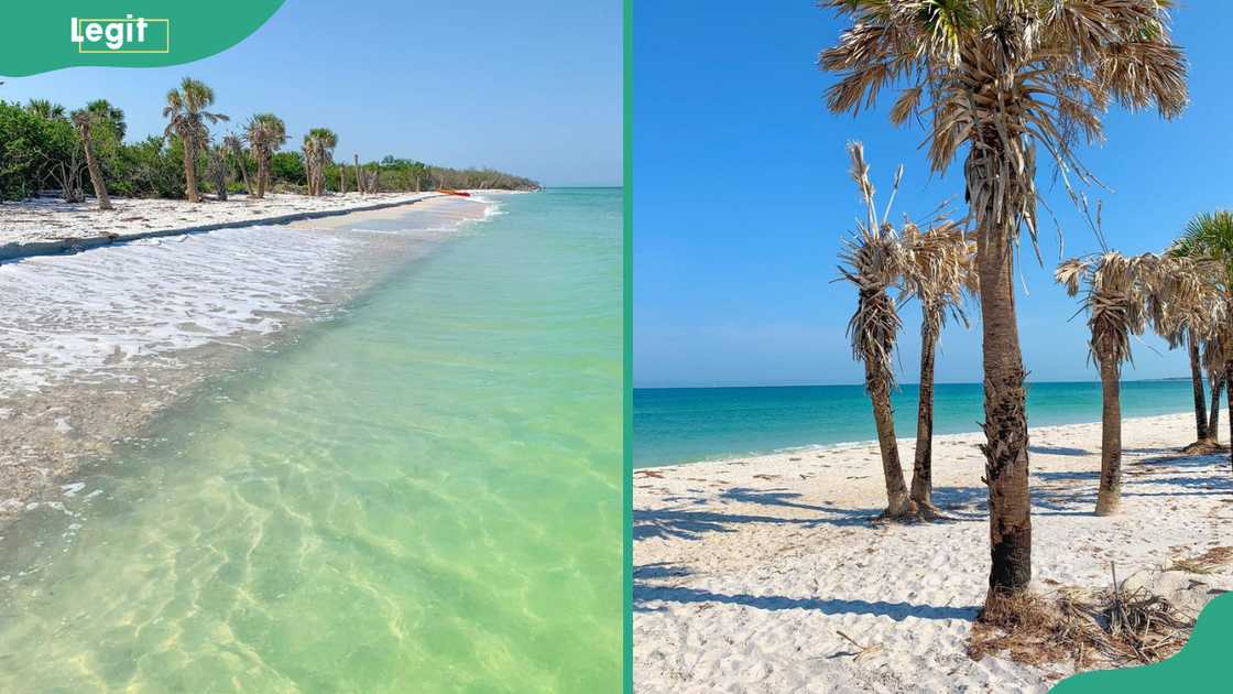 Caladesi Island Caladesi Island