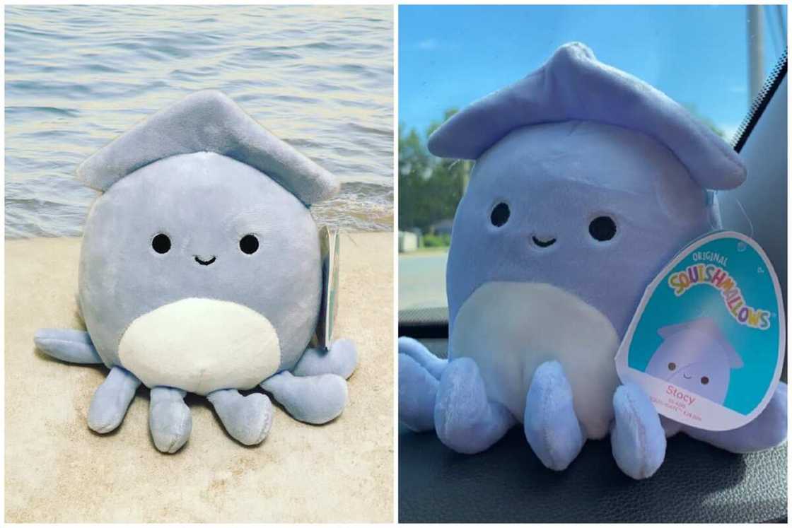 Rare squishmallows Rare squishmallows