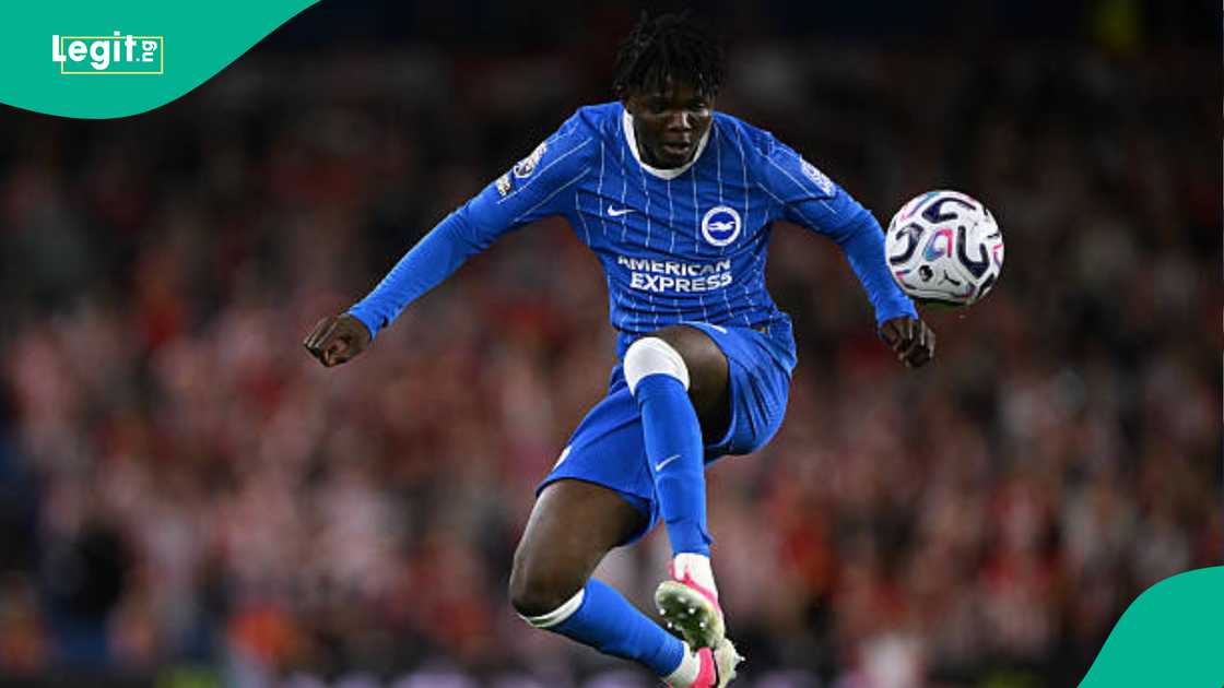 Zadok Yohanna, Nigeria, Super Eagles, Brighton, Premier League