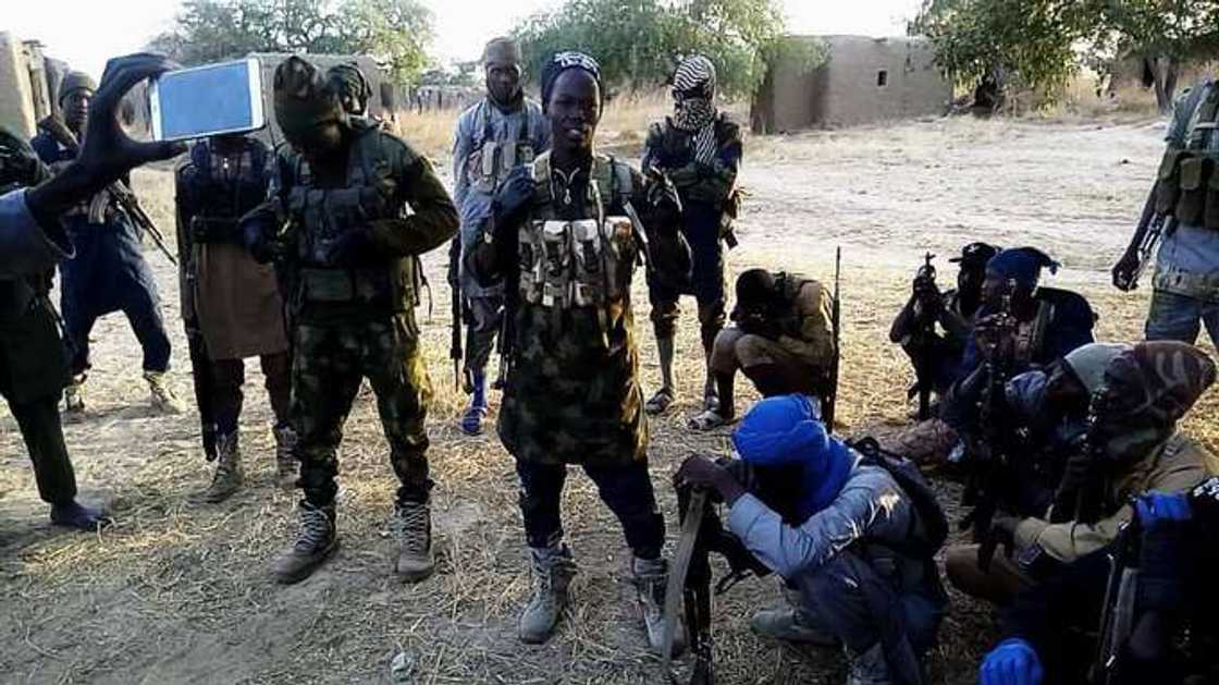 'Yan ta'addan Boko Haram sun mika wuya ga sojoji a Borno 'Yan ta'addan Boko Haram sun mika wuya ga sojoji a Borno