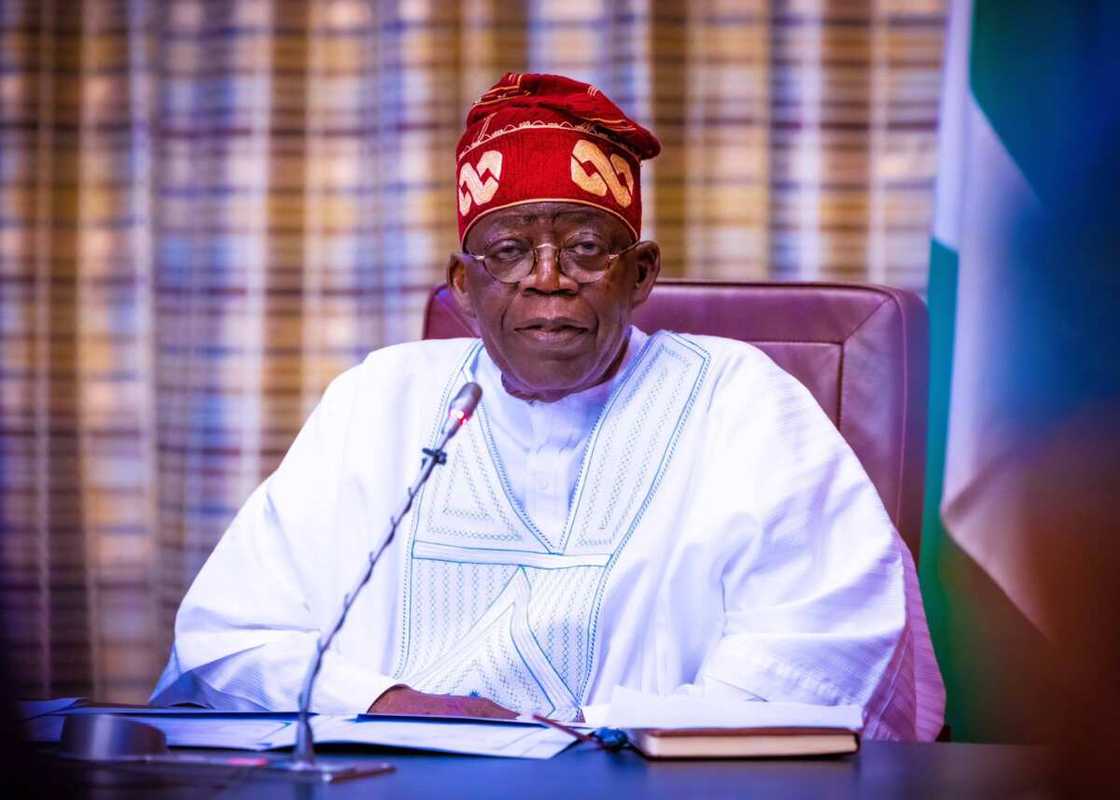 Tinubu, Youth Tinubu, Youth