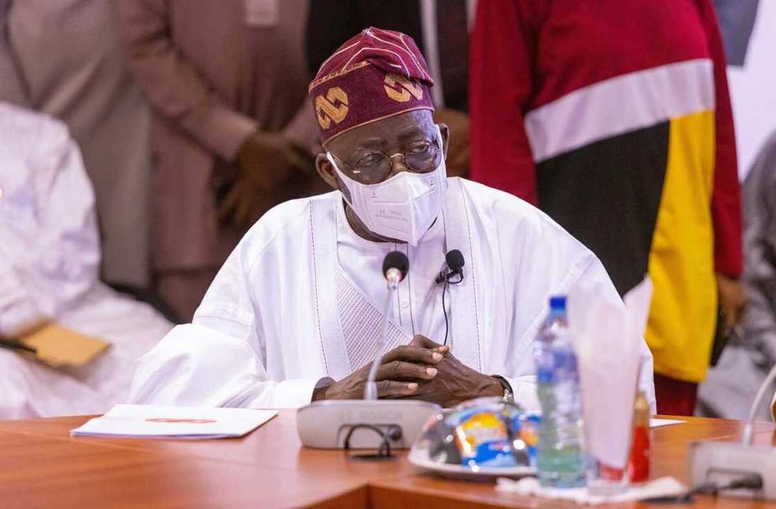 Presidency 2023: Tinubu and 5 Other Strong APC Politicians Who Could Succeed Buhari