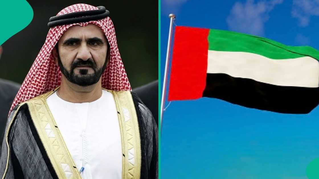 Dubai lists 4 requirements for foreigners sponsoring their family members
