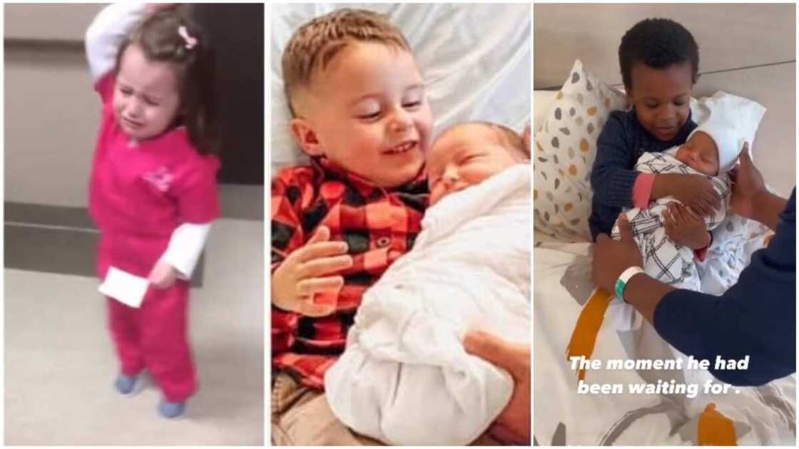 One of them cried. One of them cried.