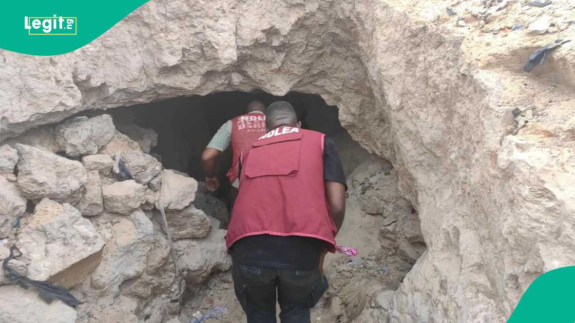 Jami'an NDLEA sun kai samame a Kano Jami'an NDLEA sun kai samame a Kano