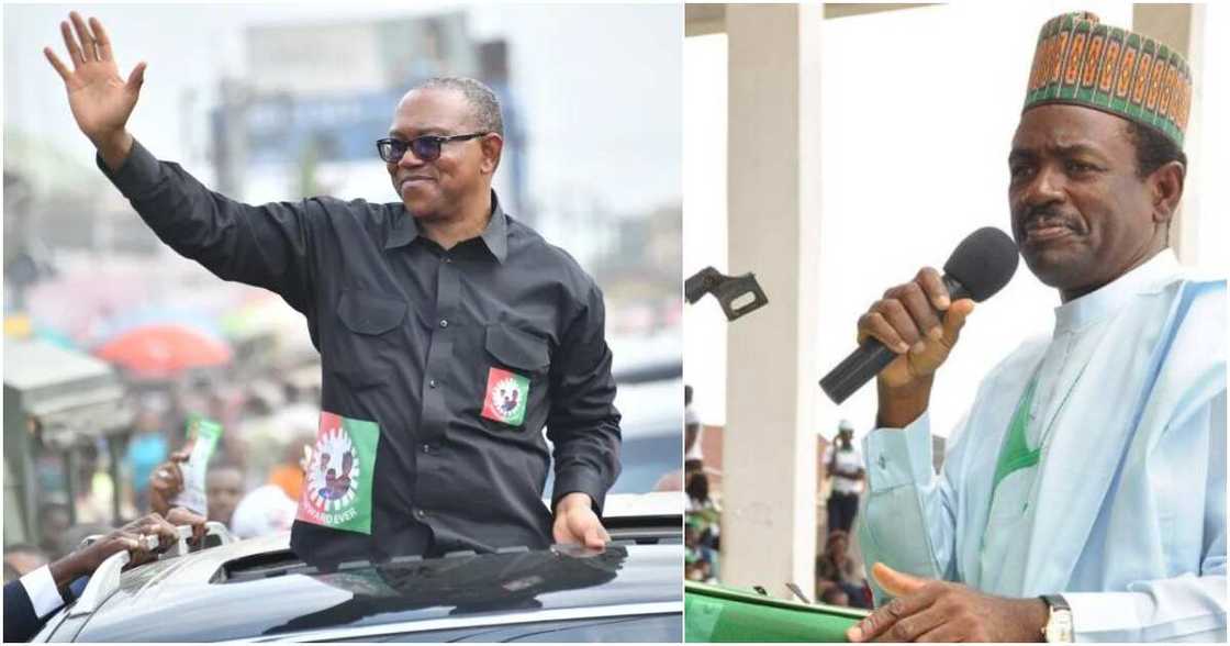 2023 presidential election, PDP, APC, Peter Obi, Labour Party, Obidient movement, Labaran Maku