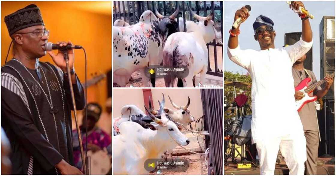 Photos of Kwam1 and Pasuma Photos of Kwam1 and Pasuma