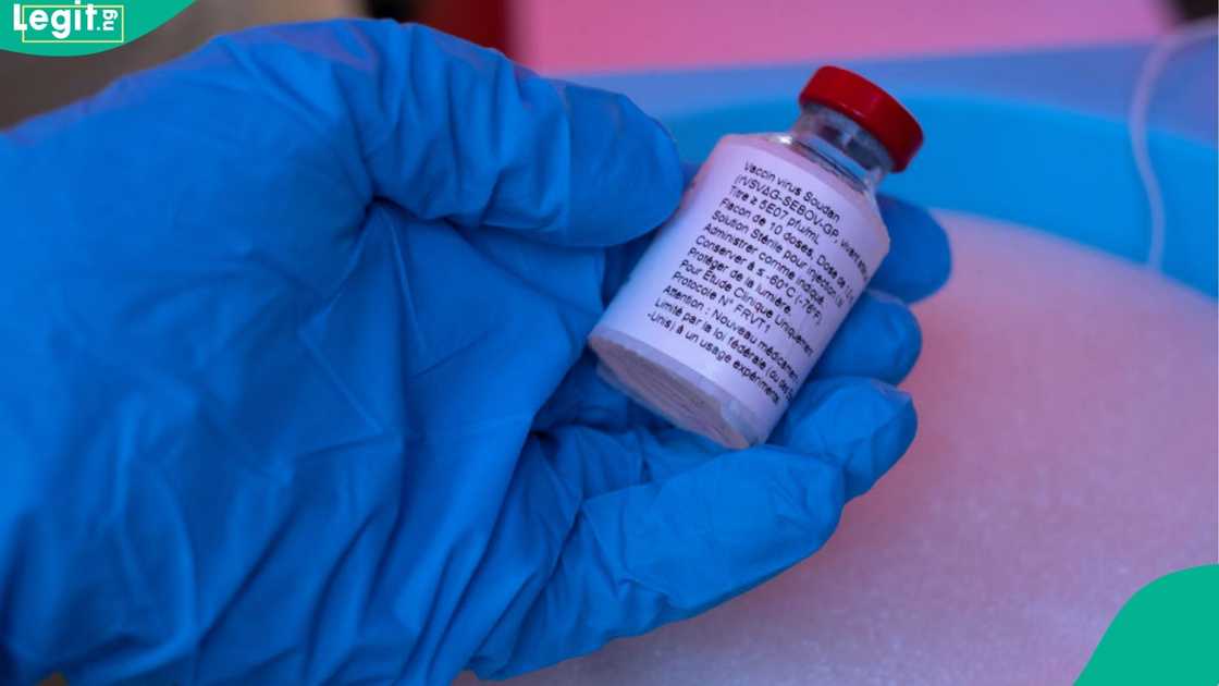 Ebola Outbreak Kills Over 10 in Popular African Country as Details Emerge Ebola Outbreak Kills Over 10 in Popular African Country as Details Emerge