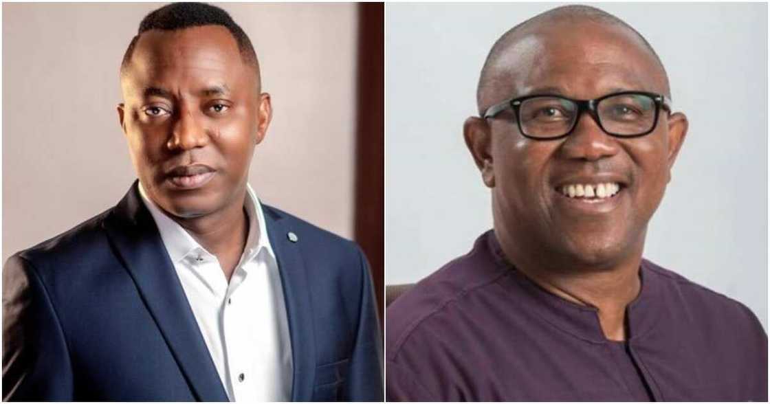 Omoyele Sowore, Peter Obi, London, Labour Party Omoyele Sowore, Peter Obi, London, Labour Party