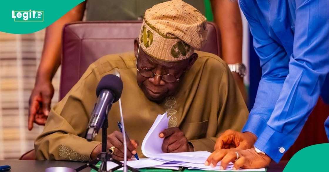 In a surprise move, President Tinubu ousts Ganduje’s close associate from the leadership of Bayero University Kano’s Governing Council.